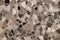Kate Marbre Carrelage de sol Toile de fond conçue par Kate Image - Kate Backdrop FR
