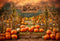 Kate Extérieur Automne Citrouille Clôture Toile de fond pour la photographie - Kate Backdrop FR