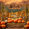 Kate Extérieur Automne Citrouille Clôture Toile de fond pour la photographie - Kate Backdrop FR