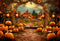Kate Automne Jaune Extérieur Citrouille Toile de fond pour la photographie - Kate Backdrop FR