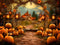 Kate Automne Jaune Extérieur Citrouille Toile de fond pour la photographie - Kate Backdrop FR