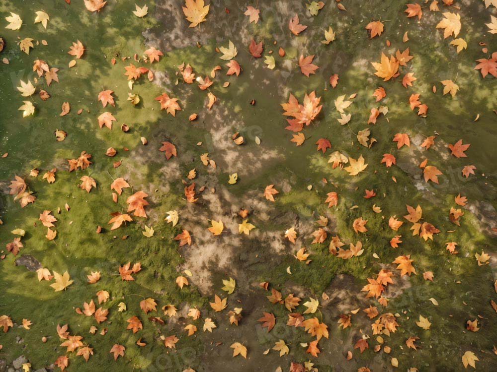 Kate Automne Feuilles mortes Prairie Sol Toile de fond conçue par Kate Image