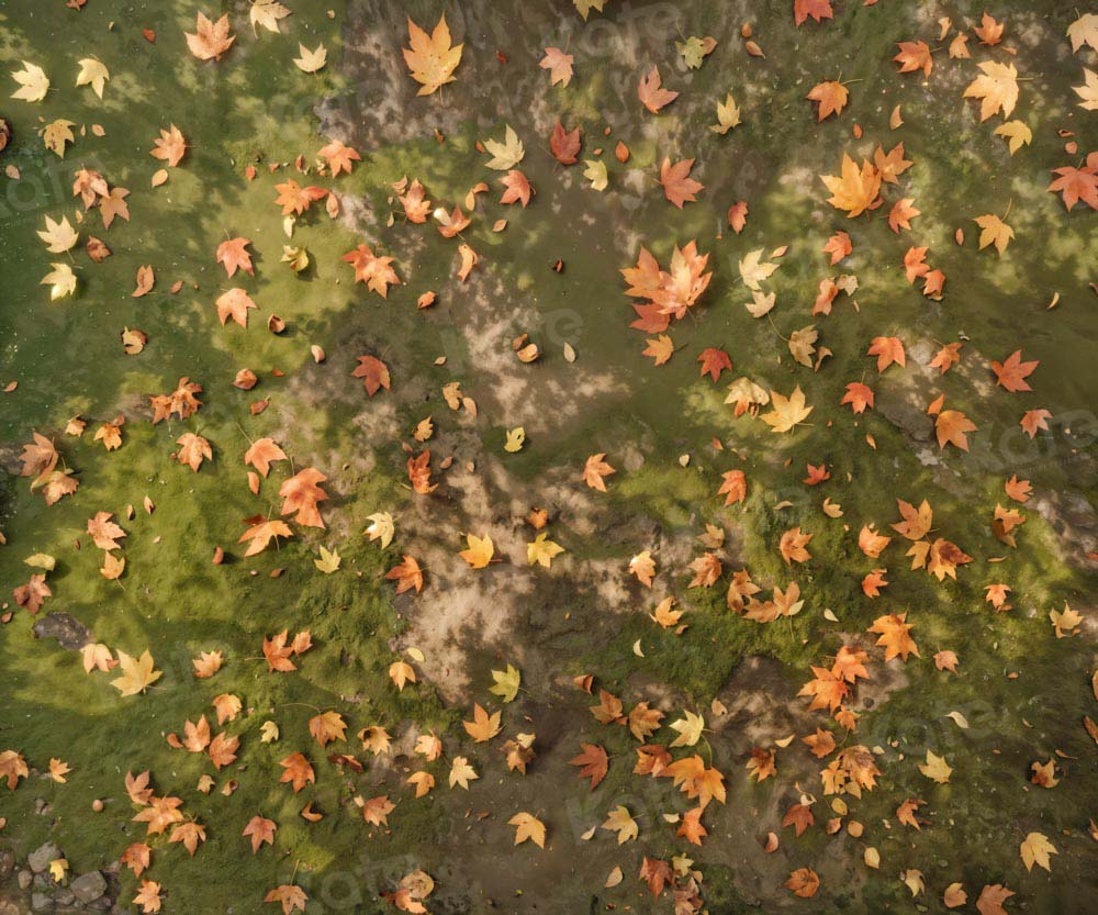 Kate Automne Feuilles mortes Prairie Sol Toile de fond conçue par Kate Image