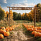 Kate Automne Ferme de citrouilles Jaune Toile de fond conçue par Emetselch - Kate Backdrop FR