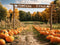 Kate Automne Ferme de citrouilles Jaune Toile de fond conçue par Emetselch - Kate Backdrop FR
