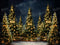 Kate Sapin de Noël Extérieur Guirlandes Lumineuses Toile de fond pour la photographie - Kate Backdrop FR