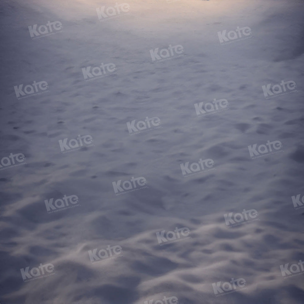 Kate Hiver Extérieur Sol Neige Blanc Toile de fond pour la photographie