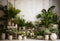 Kate Mur blanc Plante verte Chambre Toile de fond pour la photographie - Kate Backdrop FR