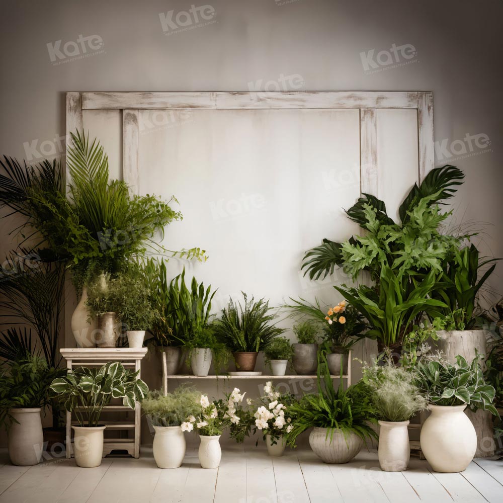Kate Mur blanc Plante verte Chambre Toile de fond pour la photographie
