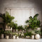 Kate Mur blanc Plante verte Chambre Toile de fond pour la photographie - Kate Backdrop FR