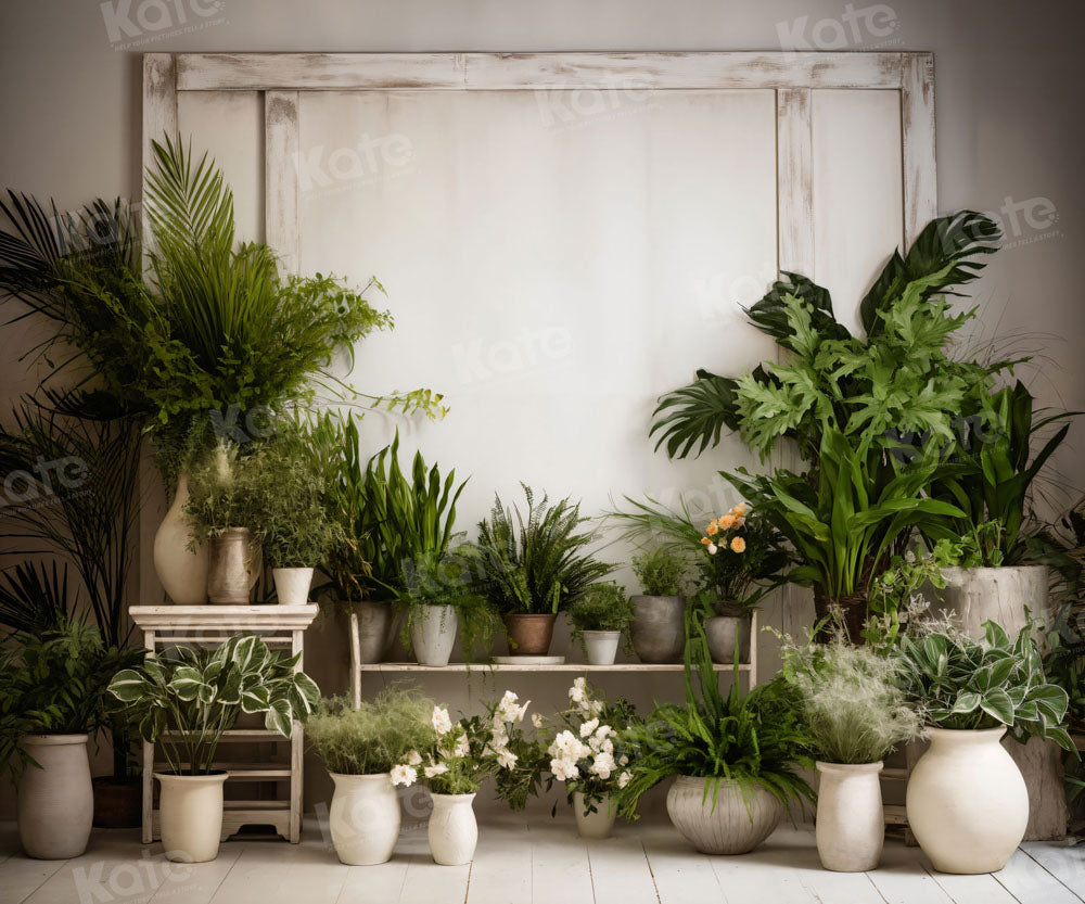 Kate Mur blanc Plante verte Chambre Toile de fond pour la photographie