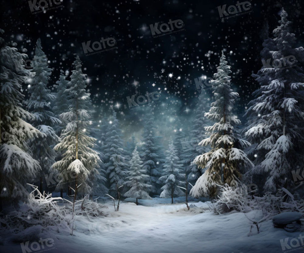 Kate Noël Extérieur Hiver Neige Nuit Arbres Toile de fond pour la photographie