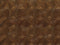 Kate Marron foncé Diamant Sol Toile de fond conçue par Kate Image - Kate Backdrop FR