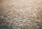 Kate Pierre Chemin Sol Toile de fond conçue par Kate Image - Kate Backdrop FR