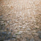 Kate Pierre Chemin Sol Toile de fond conçue par Kate Image - Kate Backdrop FR