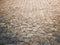 Kate Pierre Chemin Sol Toile de fond conçue par Kate Image - Kate Backdrop FR