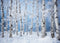 Kate Noël Hiver Bouleaux Neige Toile de fond conçue par Mini MakeBelieve - Kate Backdrop FR