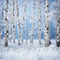 Kate Noël Hiver Bouleaux Neige Toile de fond conçue par Mini MakeBelieve - Kate Backdrop FR