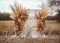 Kate Bohème Mariage Automne Extérieur Toile de fond conçue par Mini MakeBelieve - Kate Backdrop FR