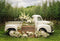 Kate Printemps Fleurs blanches Camion Toile de fond conçue par Chain Photographie - Kate Backdrop FR
