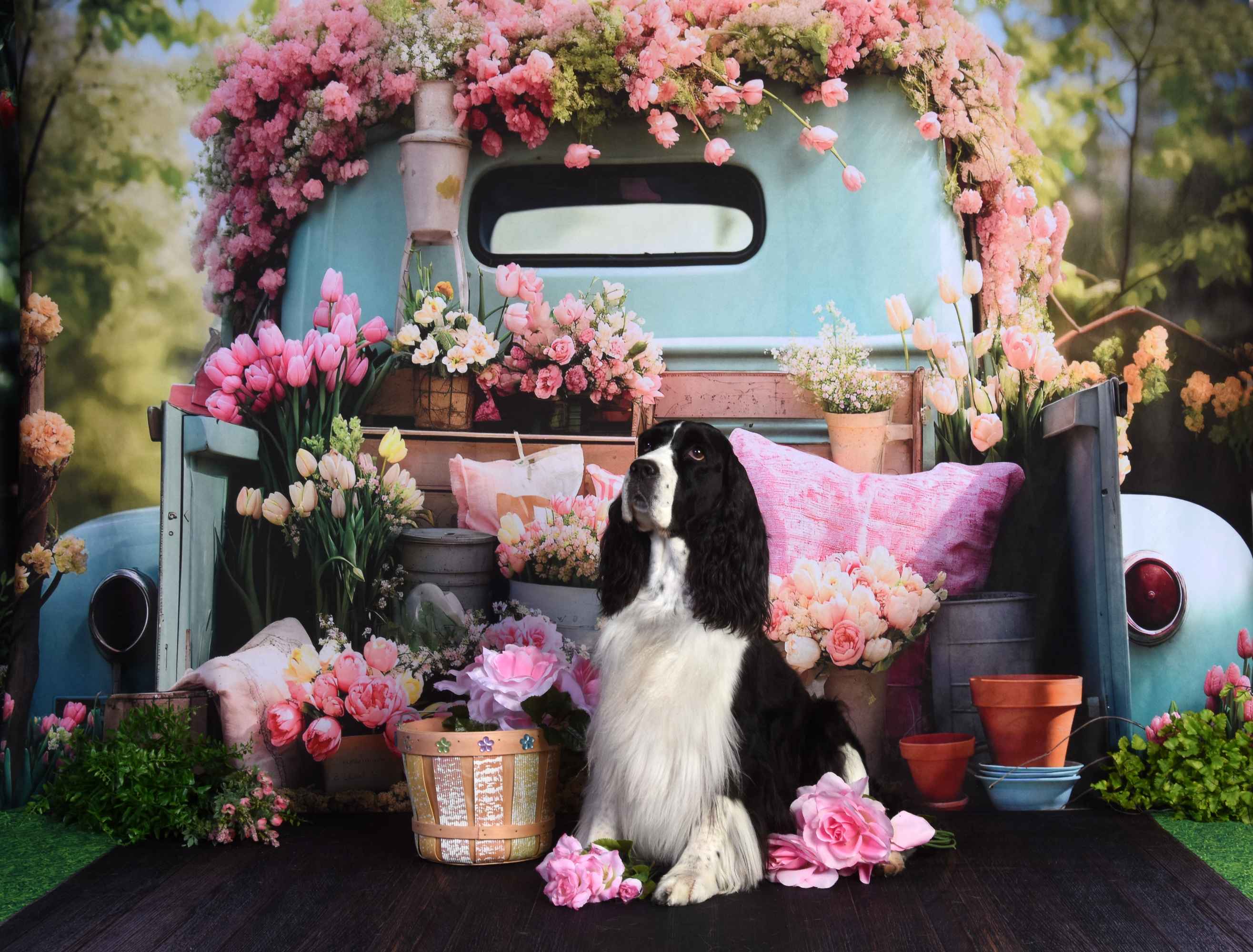 Kate Fleurs Printemps Camion Toile de fond conçue par Emetselch - Kate Backdrop FR