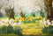 Kate Printemps Forêt Herbe Fleurs Prairie Toile de fond conçue par Emetselch - Kate Backdrop FR