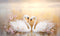 Kate Cygnes Blanc Toile de fond conçue par Patty Robert - Kate Backdrop FR