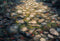 Kate Printemps Herbe Sol en Pierre Toile de fond conçue par Kate Image - Kate Backdrop FR
