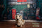 Kate Magasin de Réparation Vert Enfant Toile de fond conçue par Chain Photographie - Kate Backdrop FR