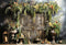 Kate Printemps Plante Bougie Porte en bois Toile de fond conçue par Emetselch - Kate Backdrop FR