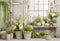 Kate Printemps Vert Fleurs Fenêtre Toile de fond conçue par Emetselch - Kate Backdrop FR