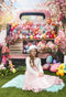 Kate Camion Rose Oeuf de Pâques Coloré Toile de fond conçue par Emetselch - Kate Backdrop FR
