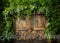Kate Grange Porte Lierre Feuilles Luxuriant Toile de fond conçue par Mini MakeBelieve - Kate Backdrop FR
