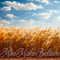 Kate Beaux-Arts Bohème Champ de blé Ciel Toile de fond conçue par Mini MakeBelieve - Kate Backdrop FR