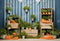 Kate Printemps Carottes Plantes vertes Toile de fond conçue par Emetselch - Kate Backdrop FR
