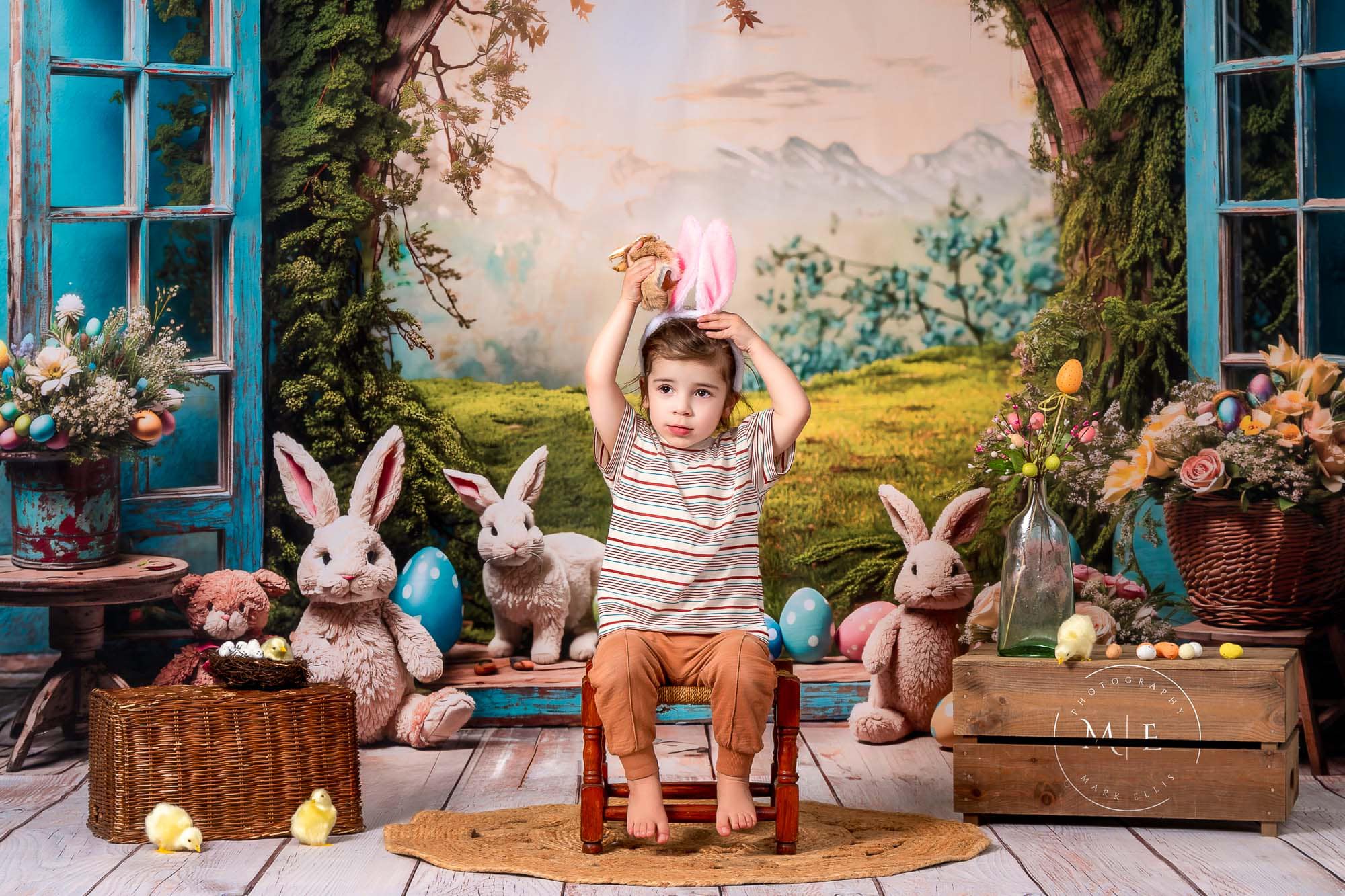 Kate Pâques Lapin Fenêtre Paysage Toile de fond en Laine pour la photographie - Kate Backdrop FR