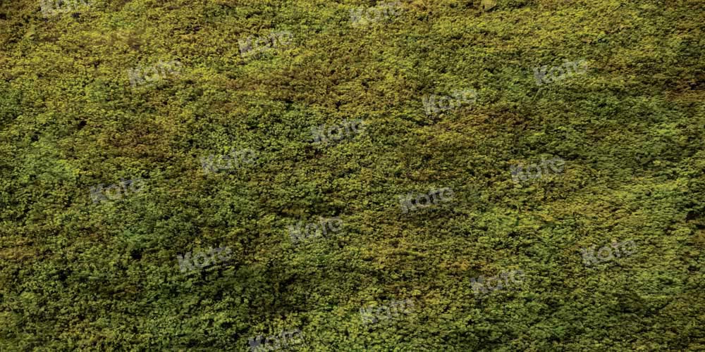 Kate Printemps Vert Herbe Sol Toile de fond conçue par Kate Image