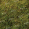 Kate Printemps Vert Herbe Sol Toile de fond conçue par Kate Image - Kate Backdrop FR