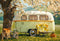 Kate Printemps Extérieur Fleurs sauvages Voiture Toile de fond conçue par Emetselch - Kate Backdrop FR