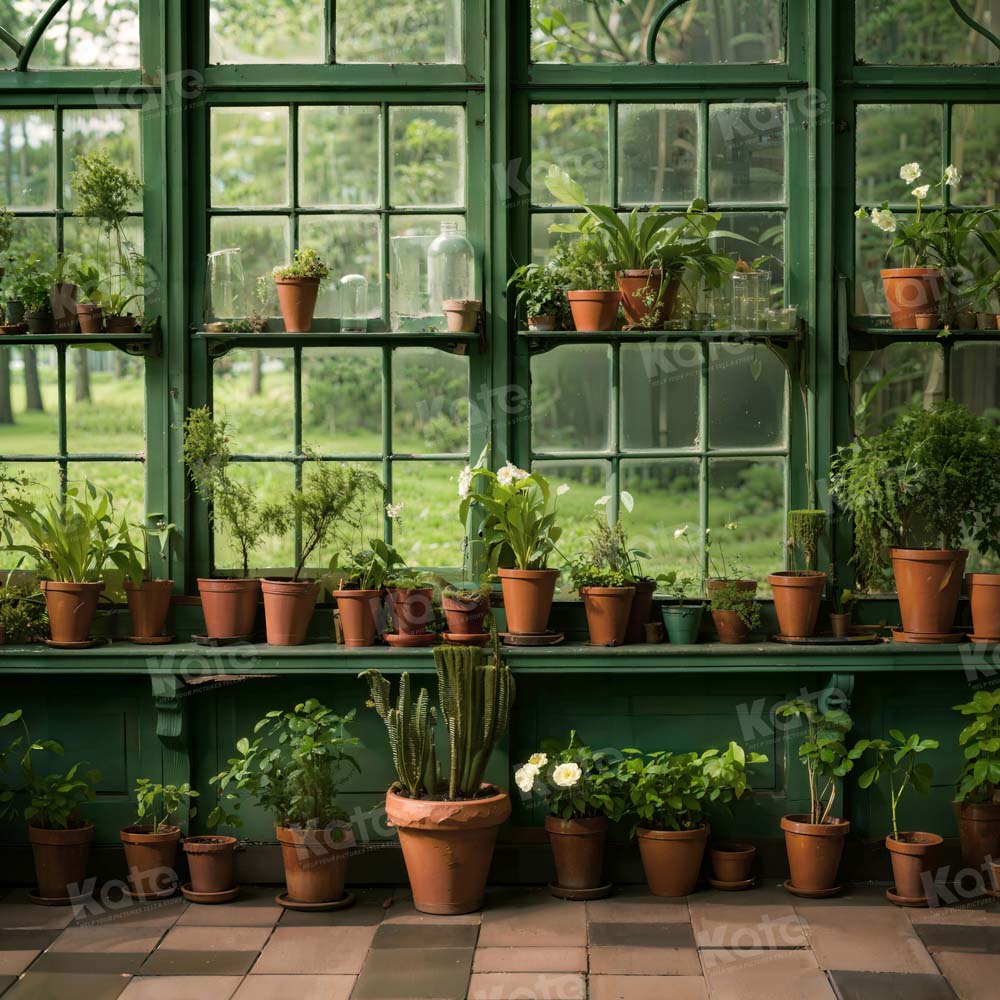 Kate Printemps Plante verte Fenêtre Intérieur Toile de fond conçue par Chain Photographie