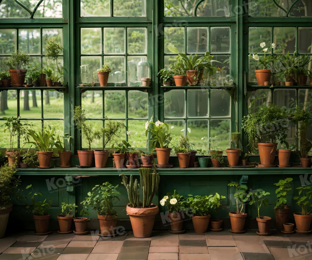 Kate Printemps Plante verte Fenêtre Intérieur Toile de fond conçue par Chain Photographie
