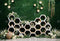Kate Printemps Mur Vert Fleurs Nid d'abeille Toile de fond pour la photographie - Kate Backdrop FR