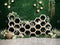 Kate Printemps Mur Vert Fleurs Nid d'abeille Toile de fond pour la photographie - Kate Backdrop FR