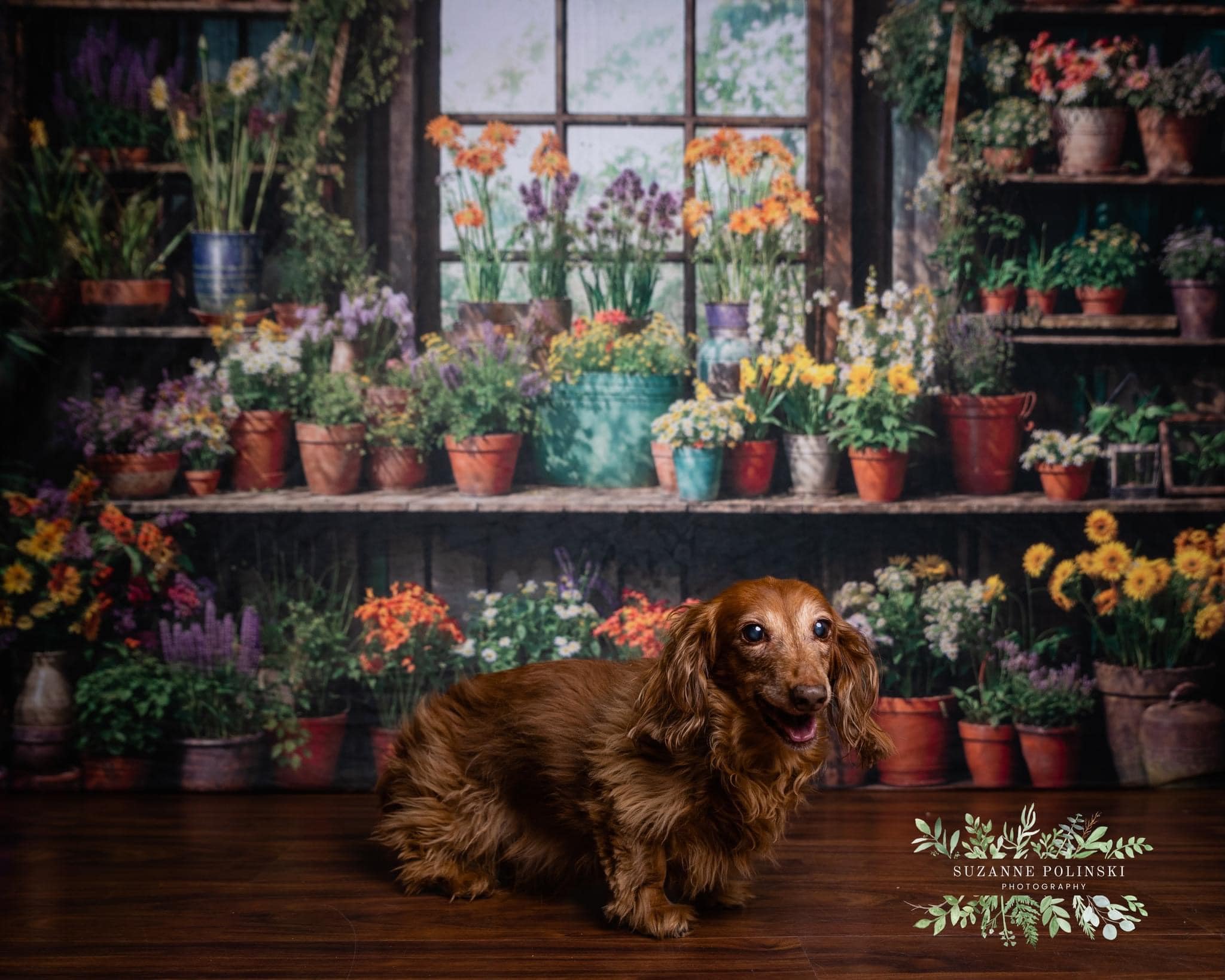 Kate Fleurs Plantes Vert Printemps Fenêtre Chambre Toile de fond conçue par Chain Photographie - Kate Backdrop FR