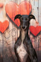 Kate Saint-Valentin Amour Mur de graffitis Toile de fond conçue par Chain Photographie - Kate Backdrop FR