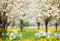 Kate Printemps Fleurs Prairie Arbres Toile de fond conçue par Chain Photographie - Kate Backdrop FR