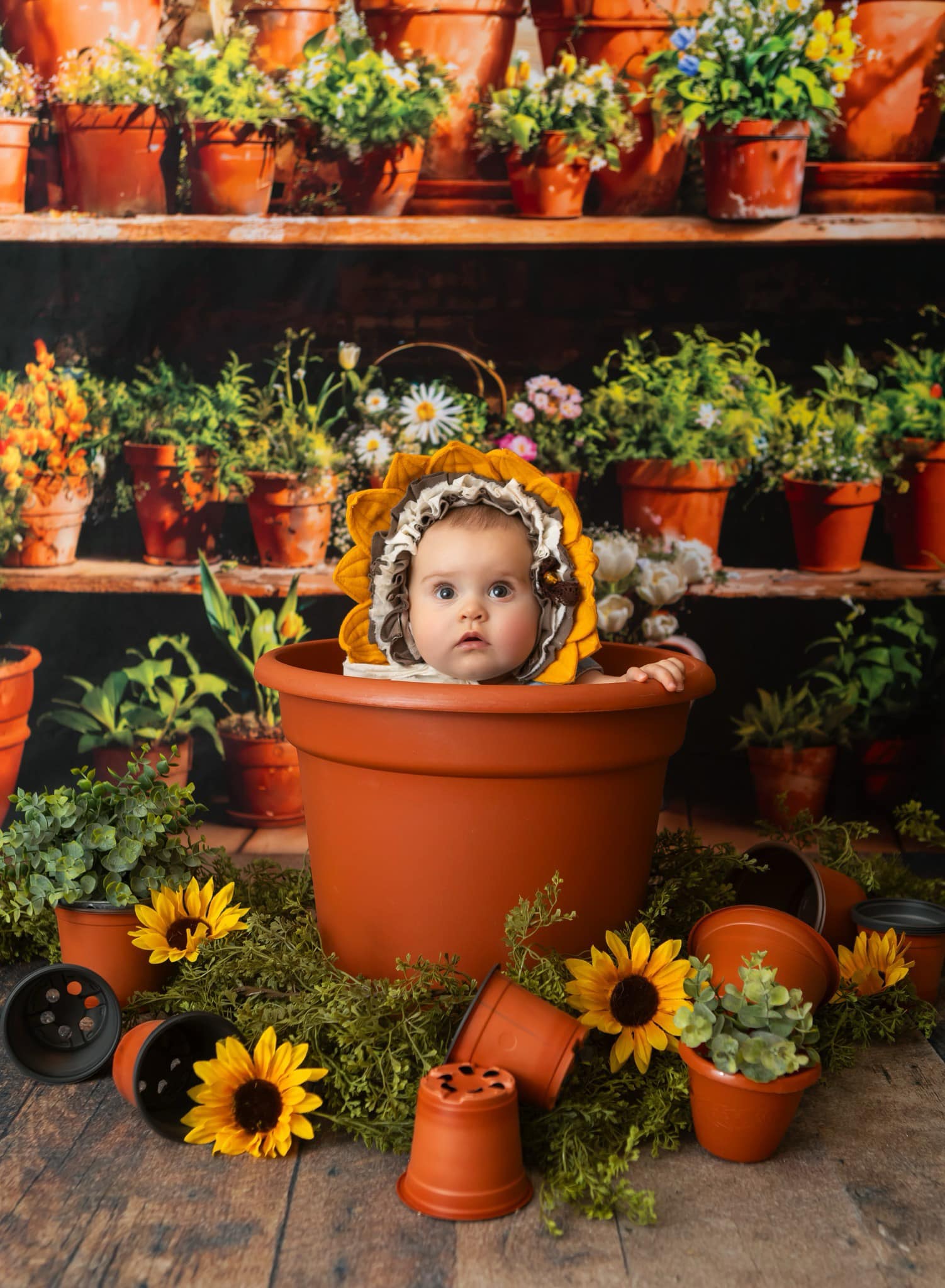 Kate Printemps Plante en pot Vert Fenêtre Ensoleillé Toile de fond conçue par Emetselch - Kate Backdrop FR