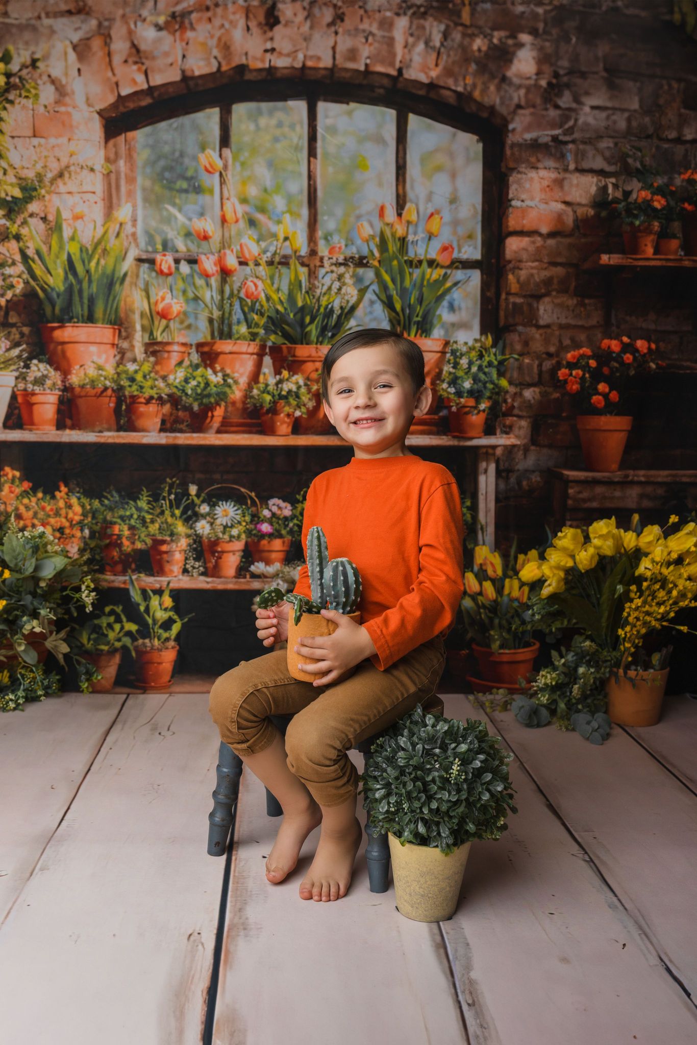 Kate Printemps Plante en pot Vert Fenêtre Ensoleillé Toile de fond conçue par Emetselch - Kate Backdrop FR