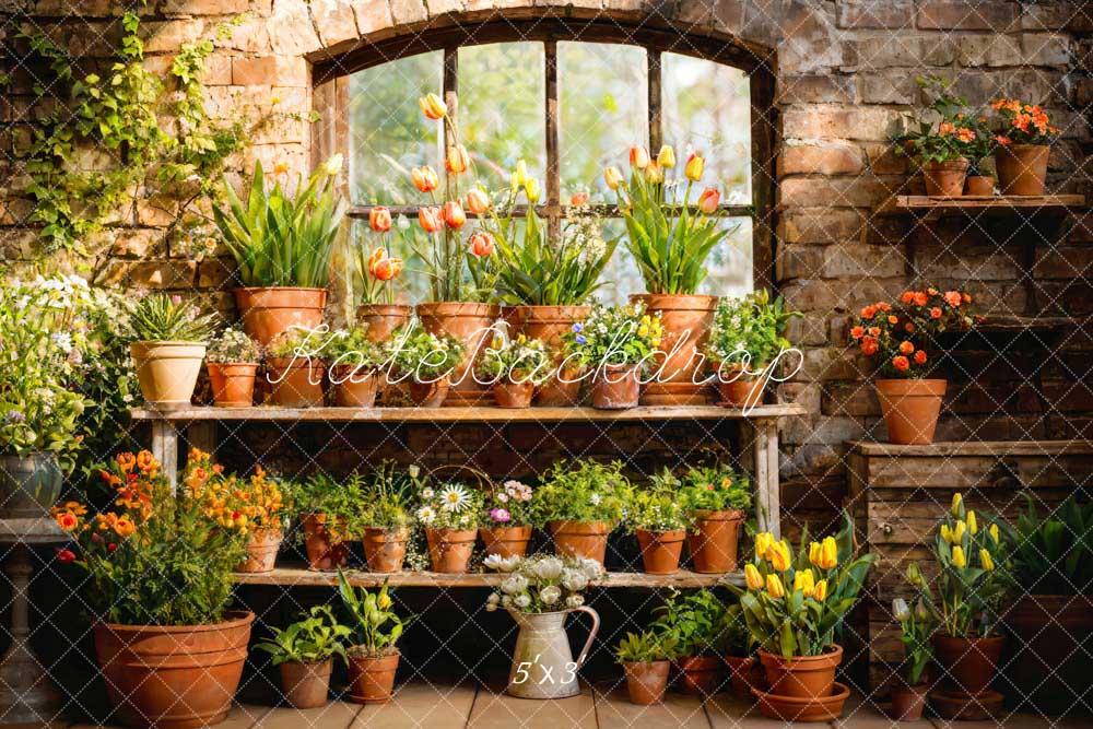 Kate Printemps Plante en pot Vert Fenêtre Ensoleillé Toile de fond conçue par Emetselch - Kate Backdrop FR