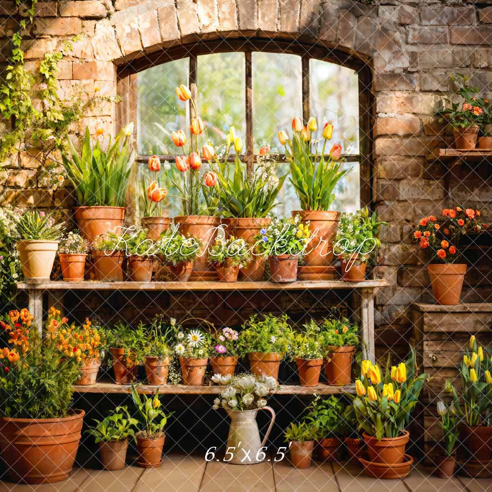 Kate Printemps Plante en pot Vert Fenêtre Ensoleillé Toile de fond conçue par Emetselch - Kate Backdrop FR